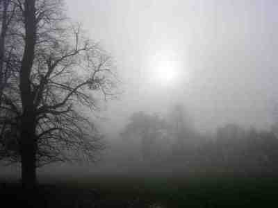 change management,change managers,change management training