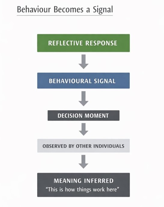 behavior-signals-2.1.jpg
