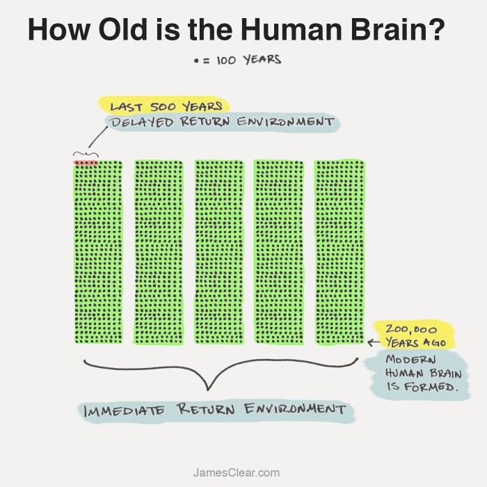 How old is the human brain?