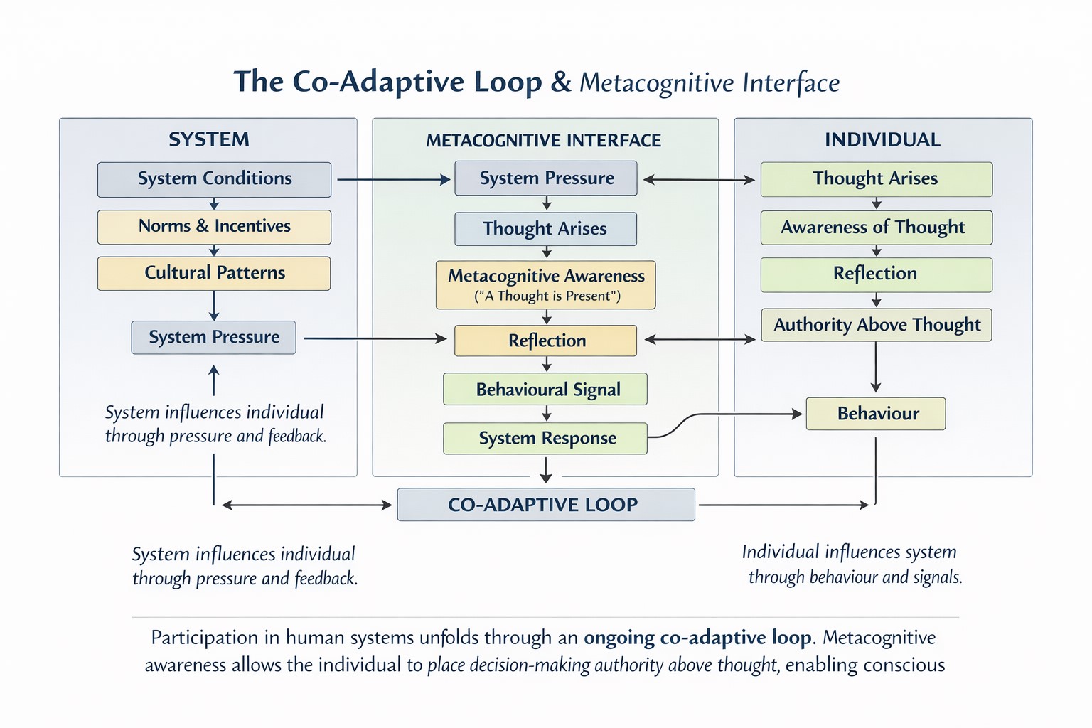 The Coadaptive Loop. Graphic
