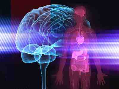 The Body And Mind. Graphic