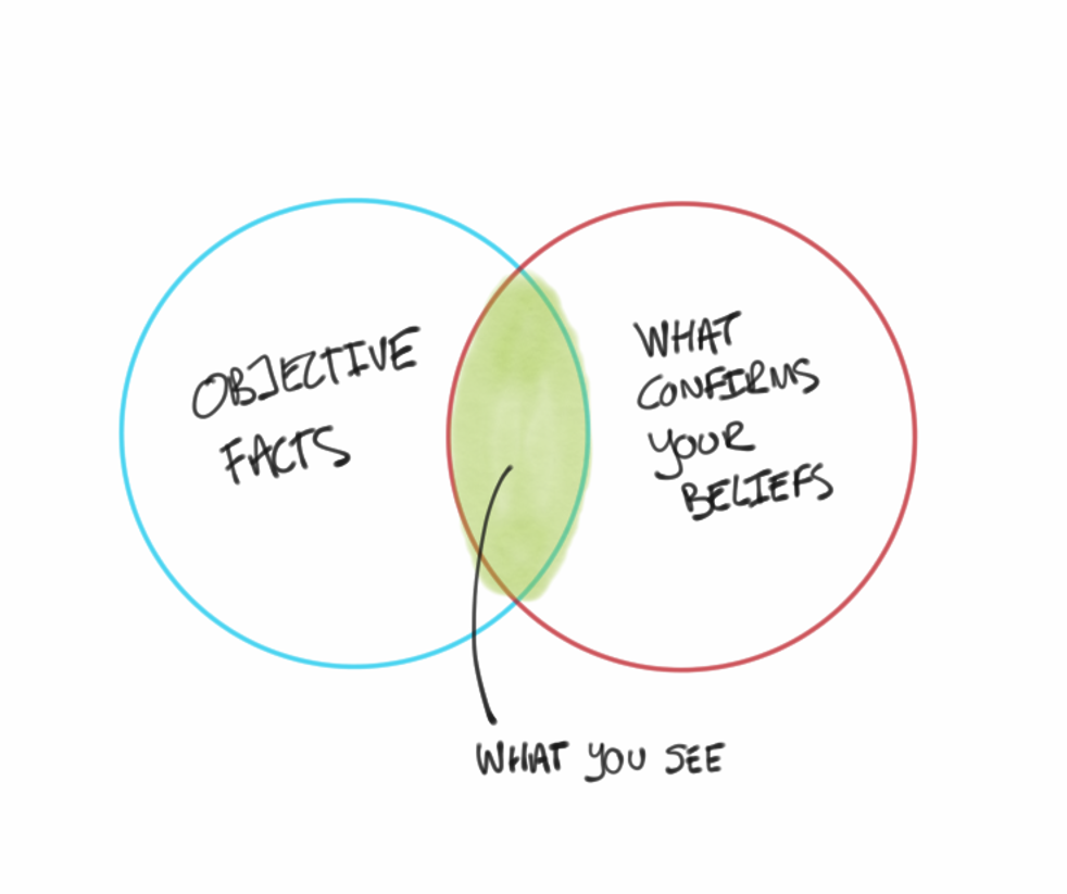 Confirmation Bias. Illustrated by a cartoon.