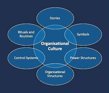 The Components Of Group Culture. Graphic