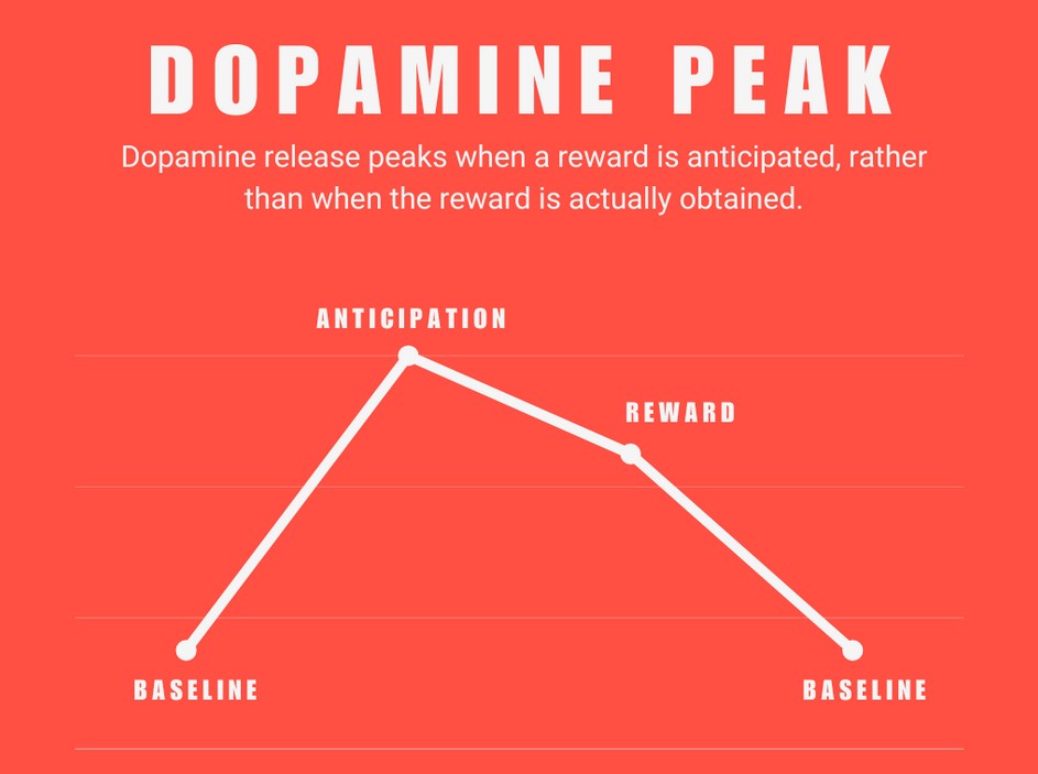 The Dopamine Peak. Graphic