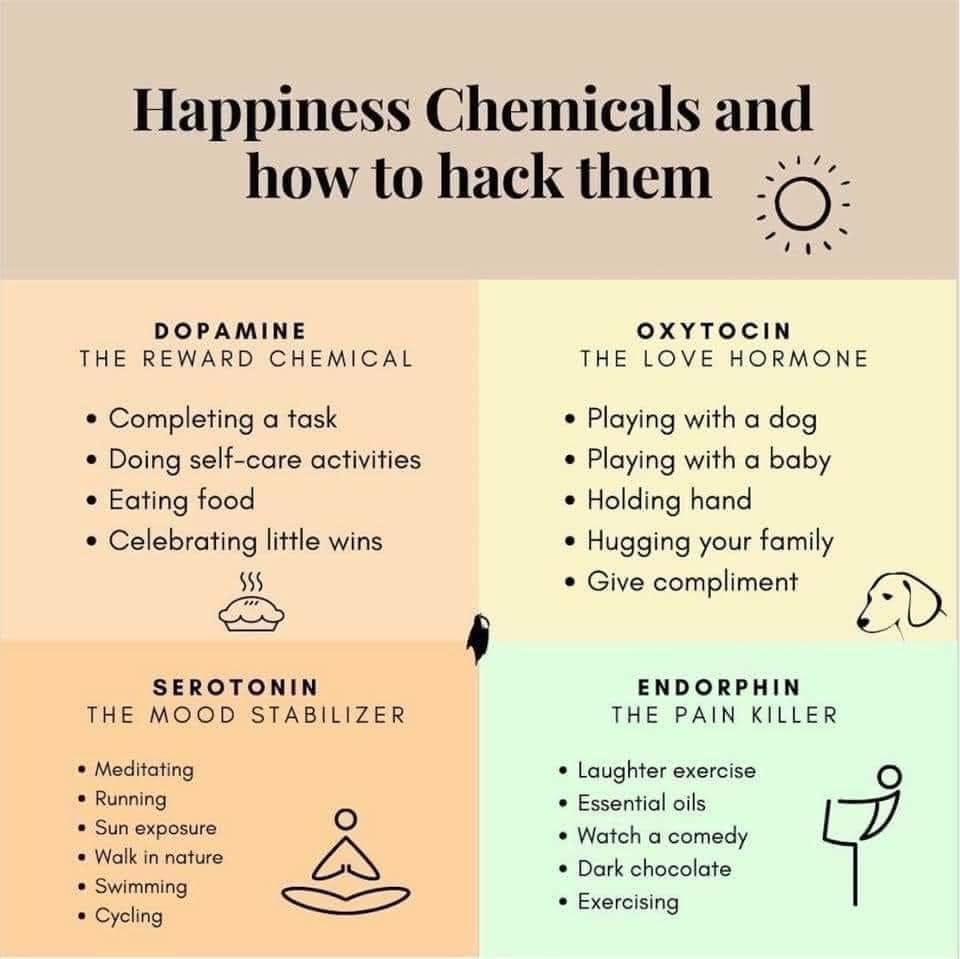 Happiness Chemicals. Graphic