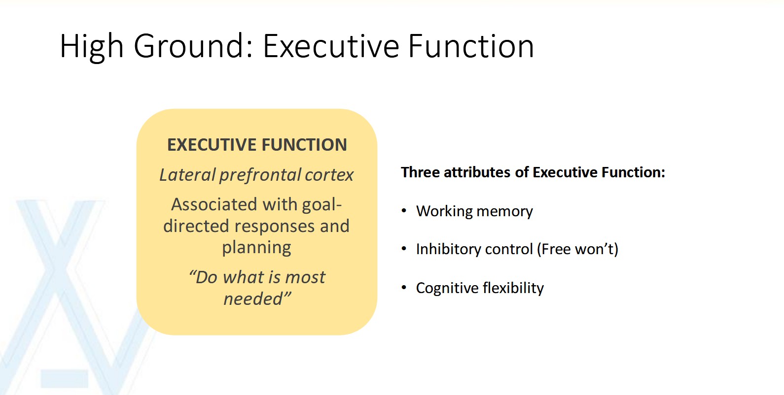 e-function.jpg