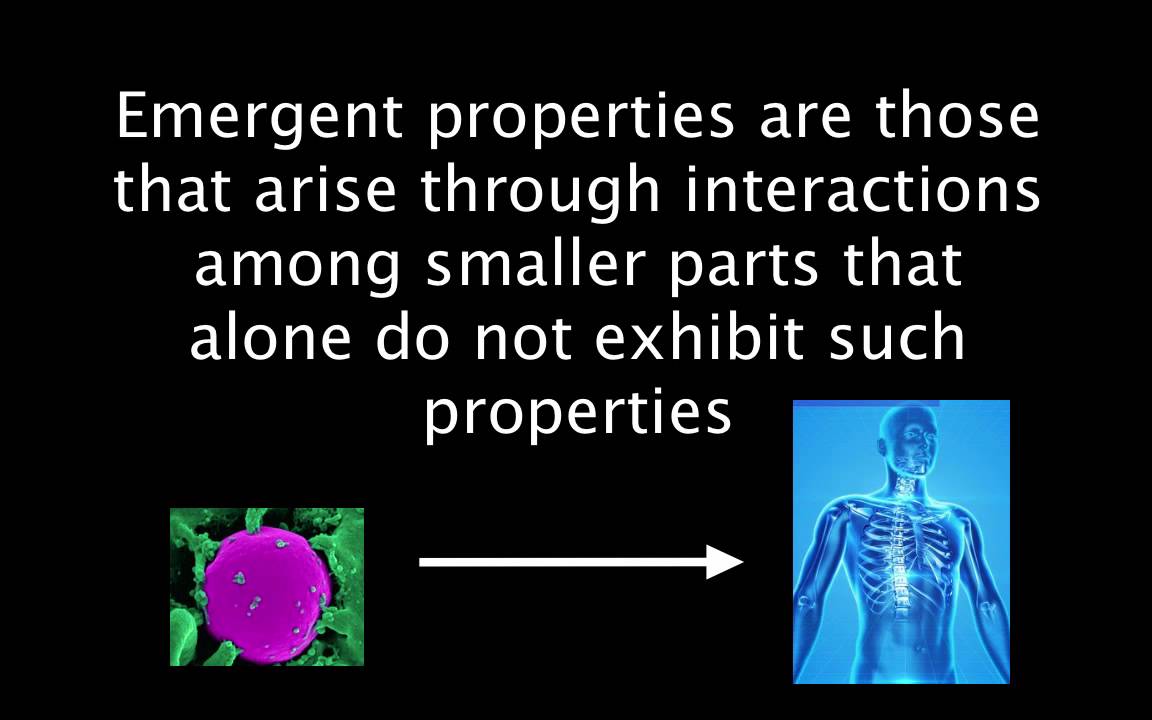 Emergent Properties.Graphic