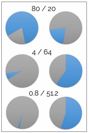 The fat tail fractal factor.