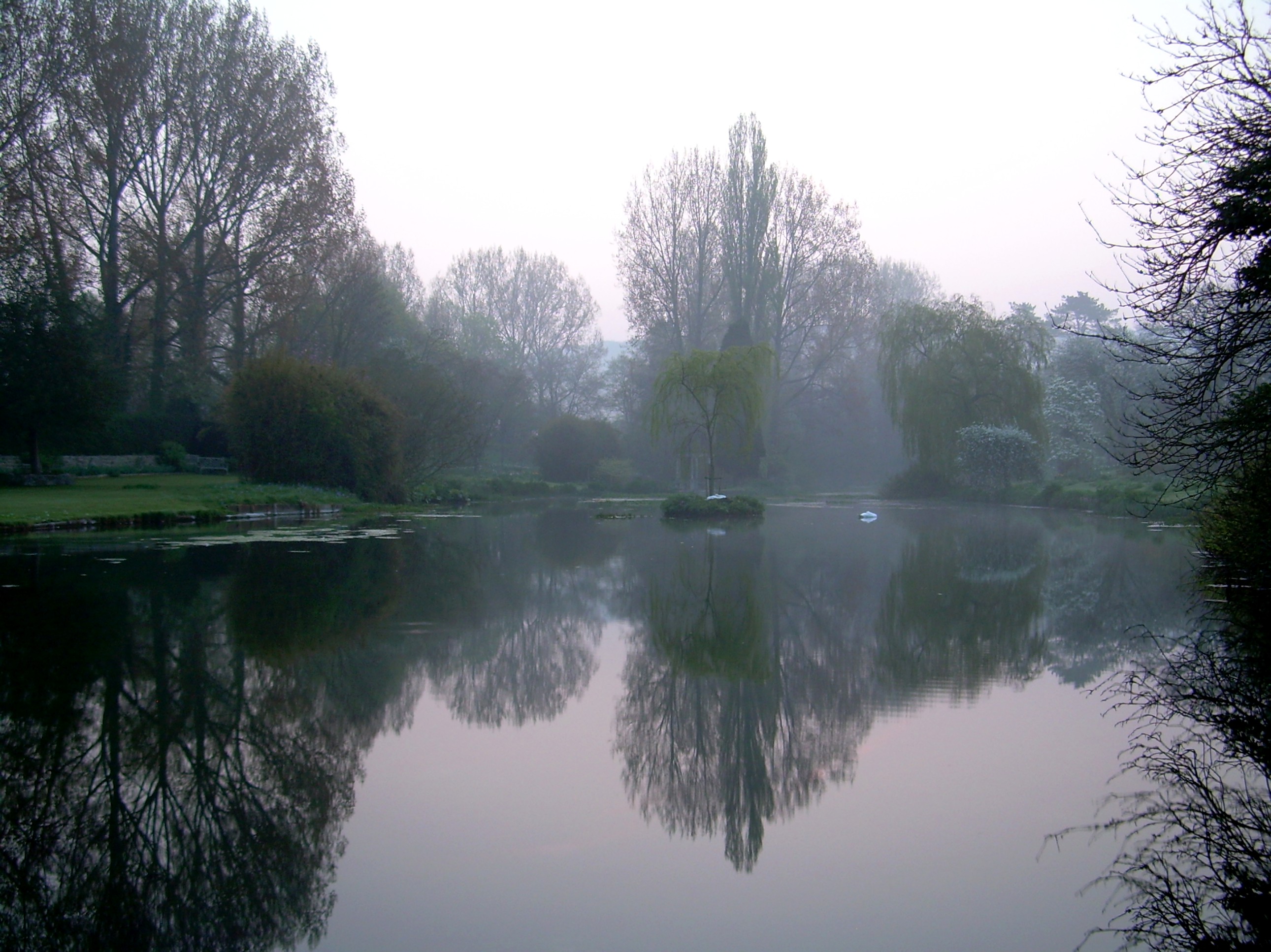 Egoless Mind [Hishiryo] is a state of mind beyond thinking. Photo of still lake in the early morning mist.