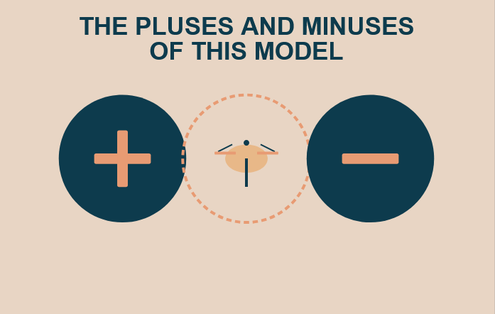Pluses And Minuses. Graphic