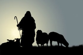 The good shepherd