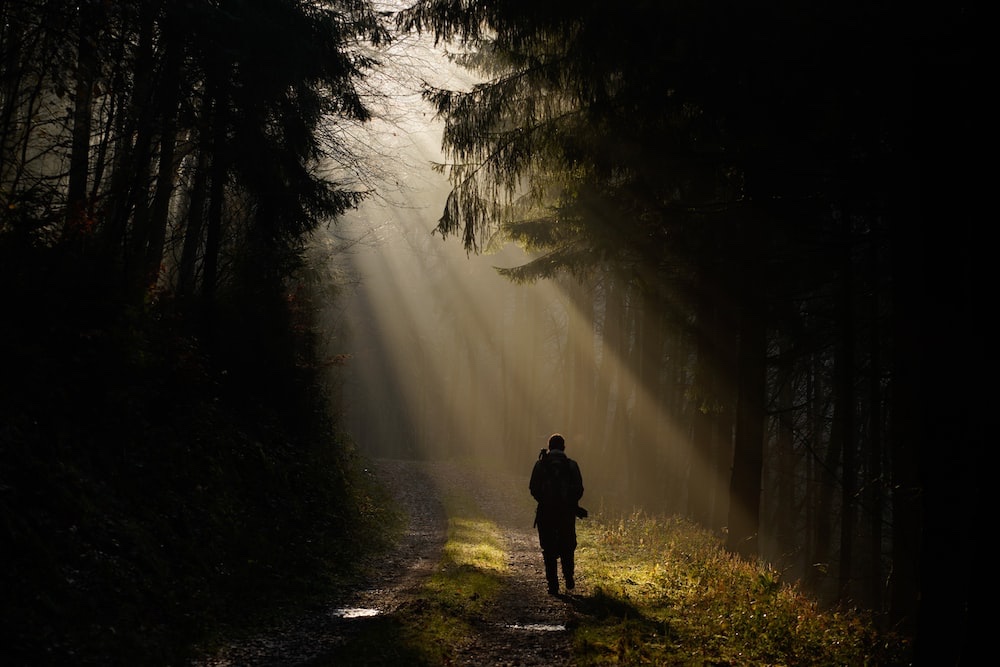 Coram Feo - Living In Consciousness. Image of person in forest in sunlight.