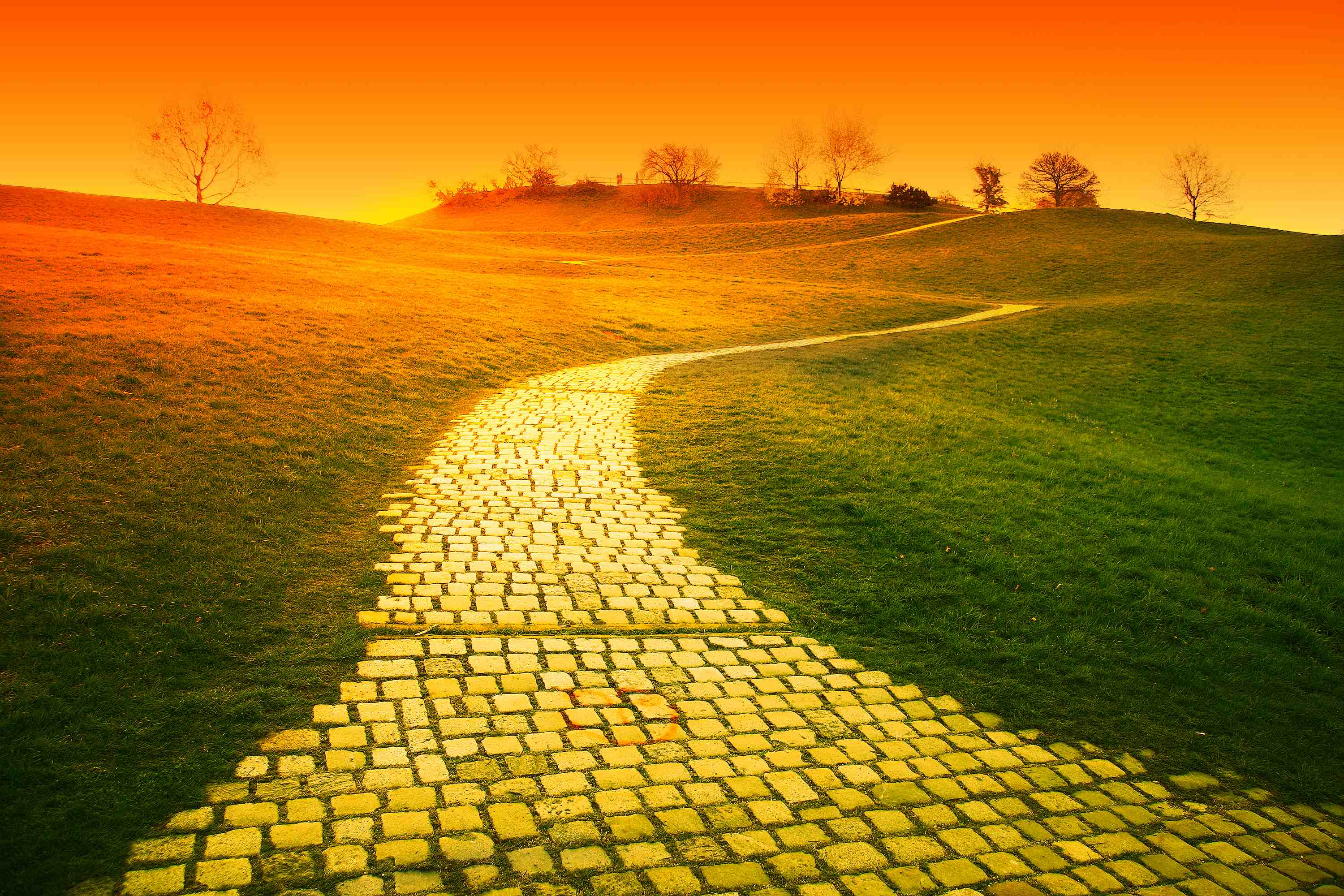 The Yellow Brick Road